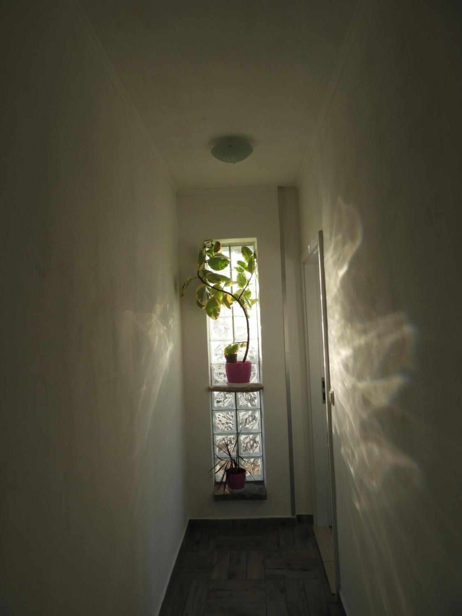 Apartman Pobuk プリモシュテン エクステリア 写真